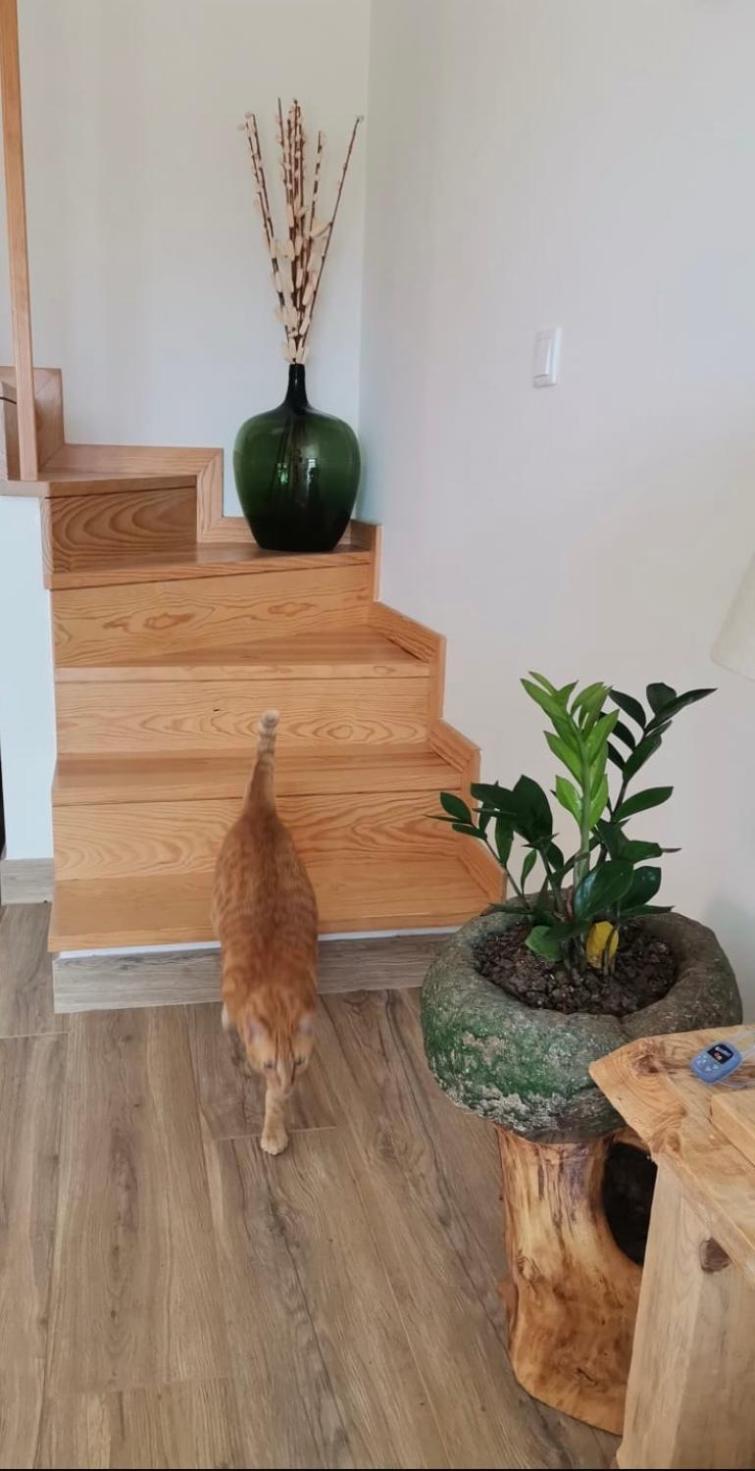 Casa Cucas Hébergement de vacances *